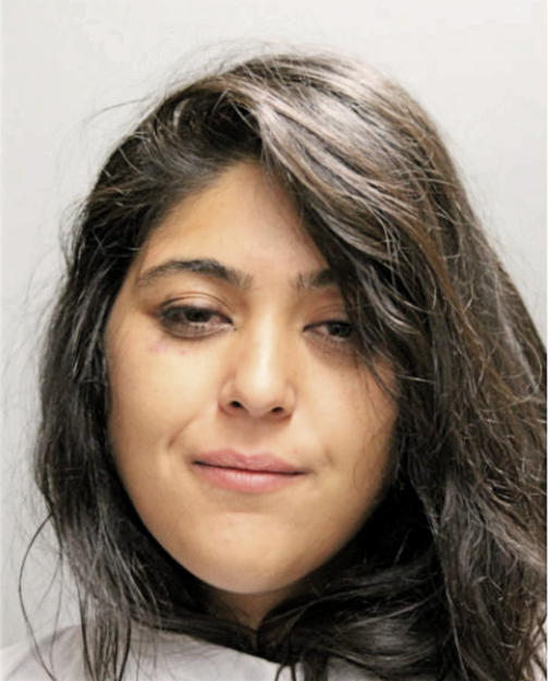 JASMINE D ZAREI, Cook County, Illinois