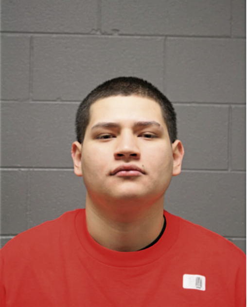 FRANCISCO ALVARES, Cook County, Illinois