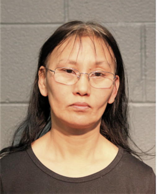 ARIUNAA BATMUNKH, Cook County, Illinois