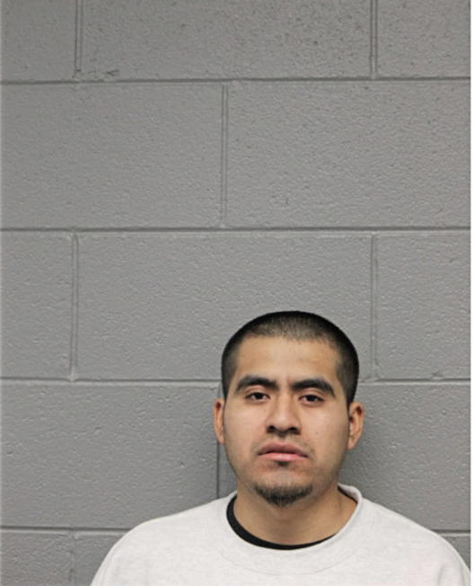 MARIO BEDOLLA-LUNA, Cook County, Illinois