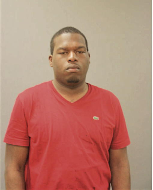 TERRENCE M BRIDGES, Cook County, Illinois