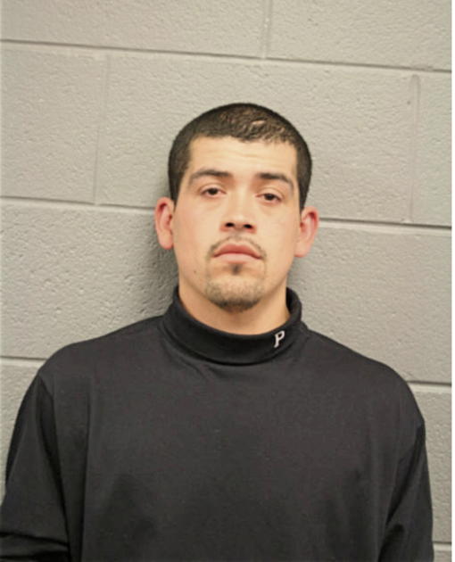 JOSE A DAVALOS, Cook County, Illinois