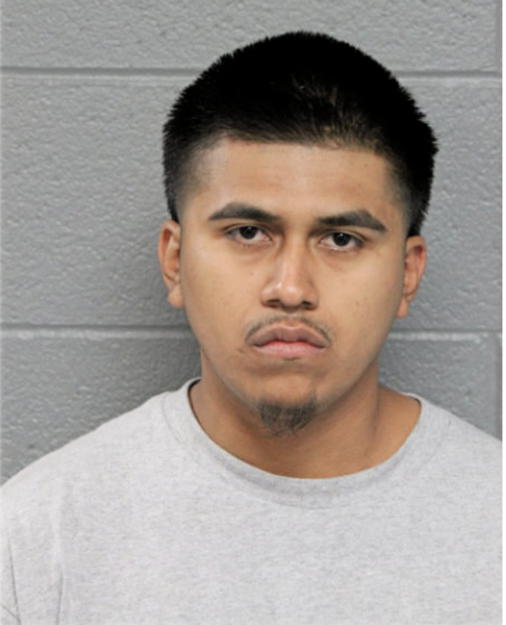 JAIME A DELGADO, Cook County, Illinois
