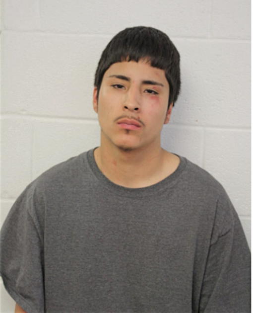 ALEJANDRO ELVIRA, Cook County, Illinois