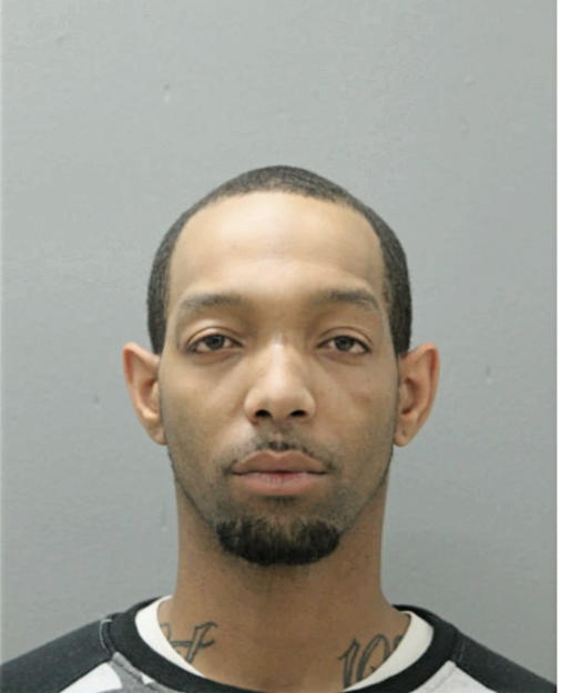 ERIC A GOODMAN, Cook County, Illinois