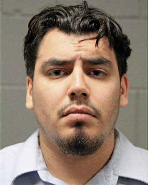 ERIC D GUERRERO, Cook County, Illinois