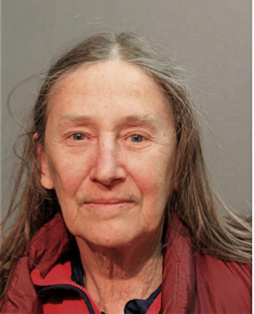 SALLY E HAMANN, Cook County, Illinois
