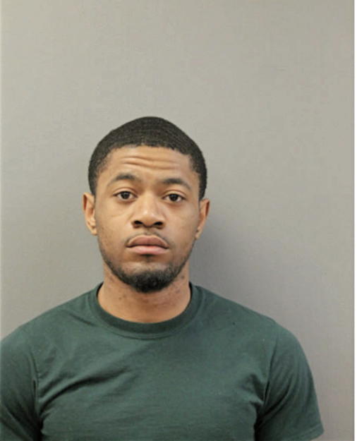 CALVIN D HAMPTON, Cook County, Illinois