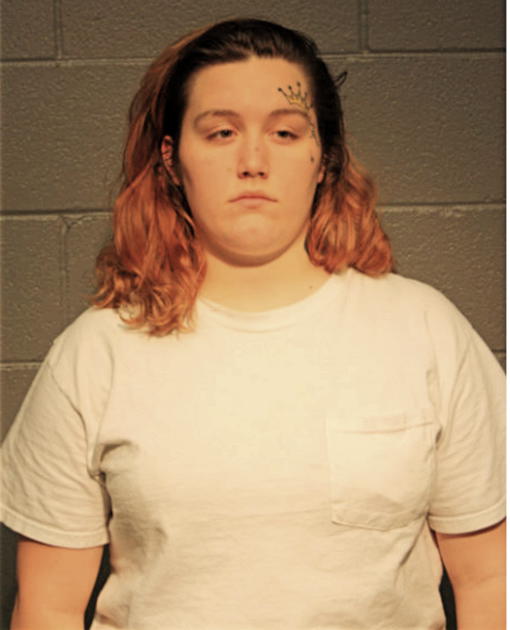 NICOLE HIGGINS, Cook County, Illinois