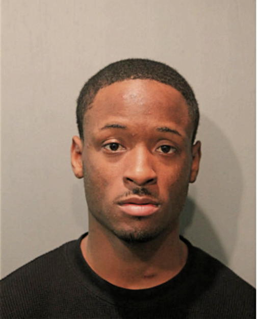 BRIAN R HUNT, Cook County, Illinois