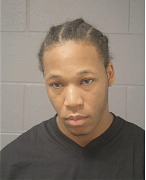 CARL J JENKINS, Cook County, Illinois