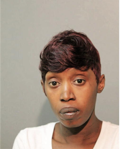 MELISSA T JOHNSON, Cook County, Illinois