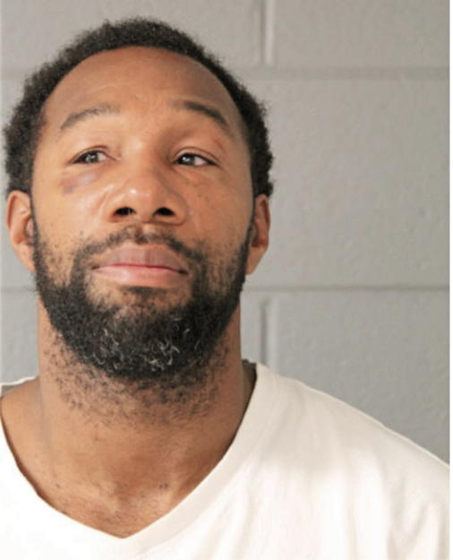 MICHAEL JOHNSON, Cook County, Illinois