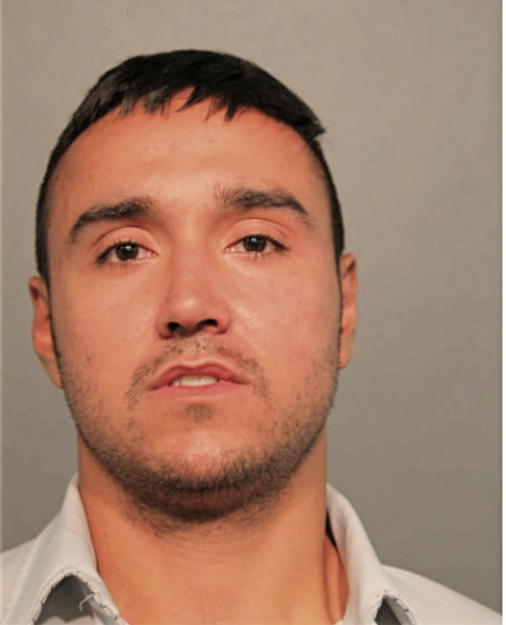 NICOLAS R LEYBA, Cook County, Illinois
