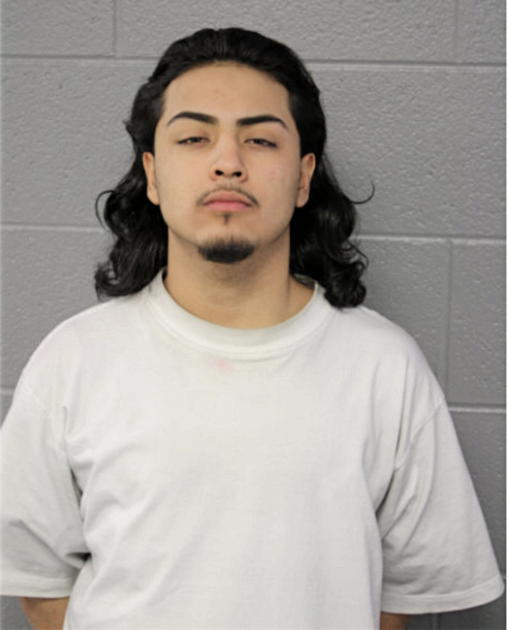 LUIS E LOPEZ, Cook County, Illinois