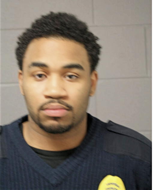 BRANDON D LOWERY, Cook County, Illinois