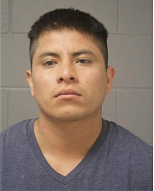 MARCO A MARTINEZ, Cook County, Illinois
