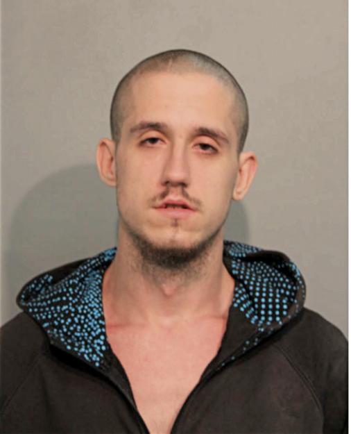 ROBERT A MIKKELSON, Cook County, Illinois