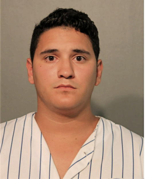 MICHAEL O RIGITONO, Cook County, Illinois