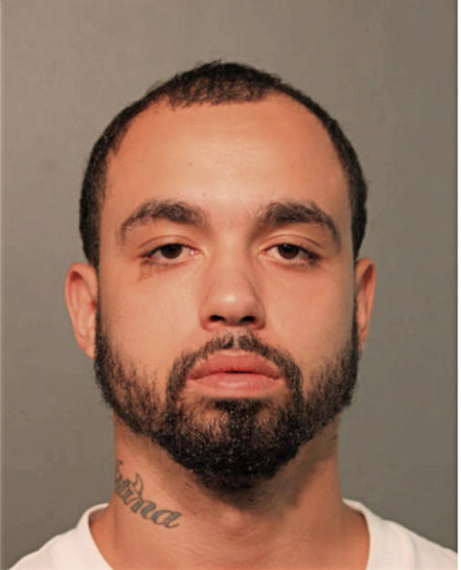 GILDALTHI RODRIGUEZ, Cook County, Illinois