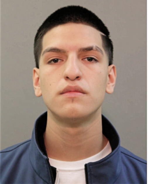 ISRAEL SALGADO, Cook County, Illinois