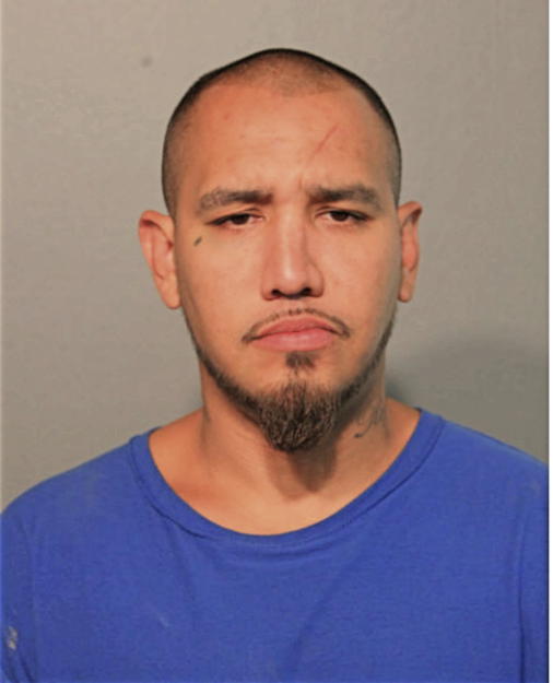ANTHONY RAUL SANTANA, Cook County, Illinois
