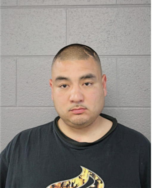 LUIS VACA, Cook County, Illinois