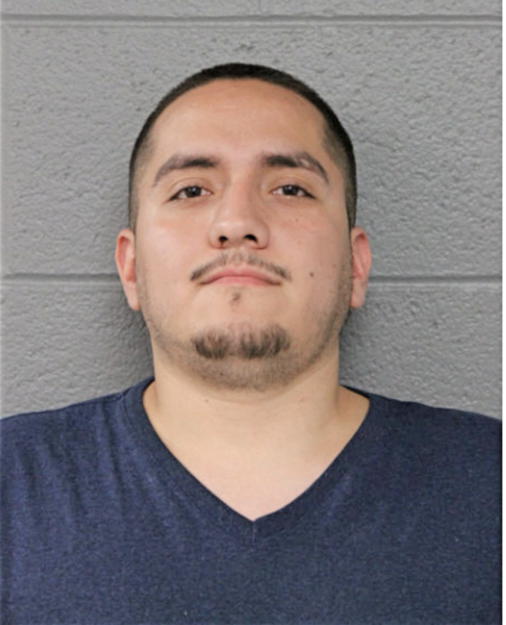 FERNANDO VALDEZ, Cook County, Illinois
