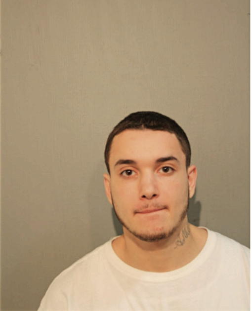 NELSON L VASQUEZ, Cook County, Illinois