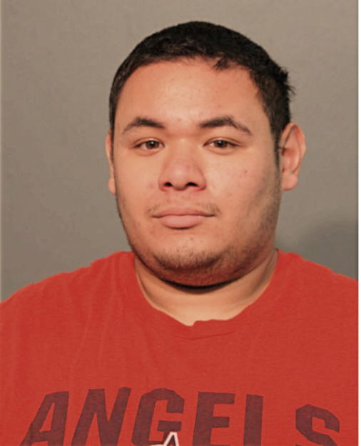 CARLOS M VEGA, Cook County, Illinois
