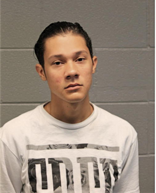 DION JAMES WALKER, Cook County, Illinois