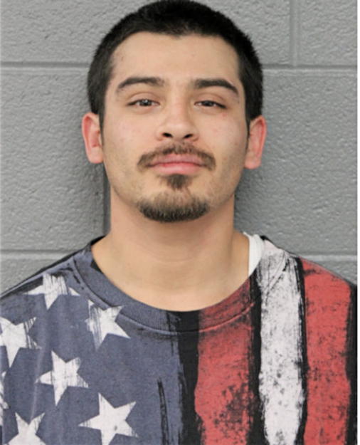 HECTOR JR ZUNIGA, Cook County, Illinois