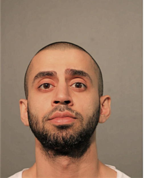 RAMIZ BAJWA, Cook County, Illinois