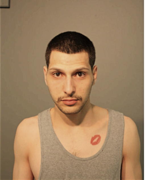 MOHAMMAD H BASHEER, Cook County, Illinois