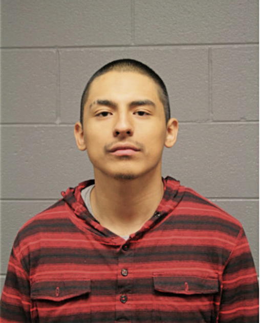 ERICK M BUSTOS, Cook County, Illinois