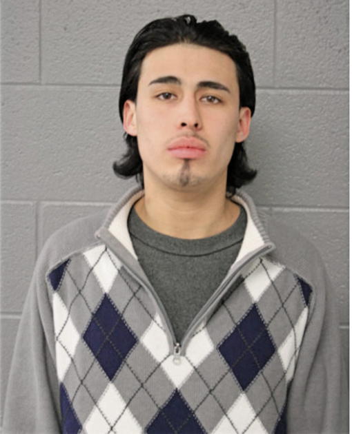 SALVADOR J CHAVEZ, Cook County, Illinois