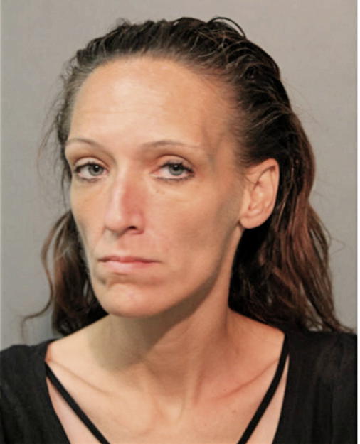 THERESA M DELAVERGNE, Cook County, Illinois