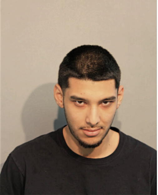 TITO O DELEON, Cook County, Illinois