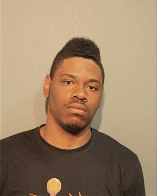 ARI K DILLON, Cook County, Illinois