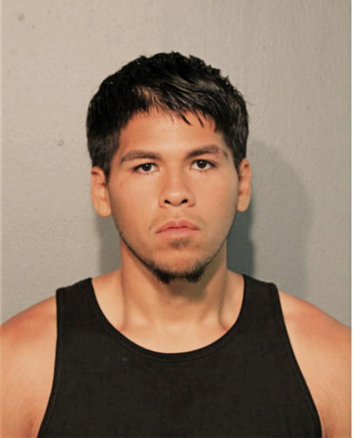 JAVIER ECHEVARRIA, Cook County, Illinois
