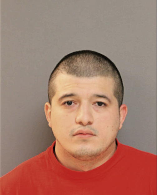 JOHN J GONZALEZ, Cook County, Illinois