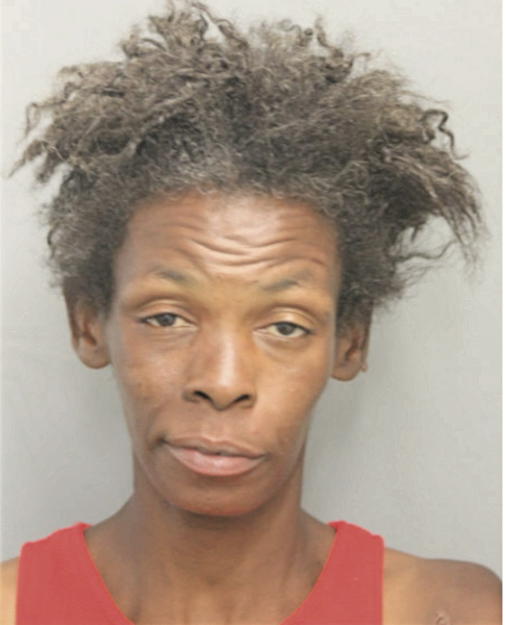 YVONNE R HAYES, Cook County, Illinois