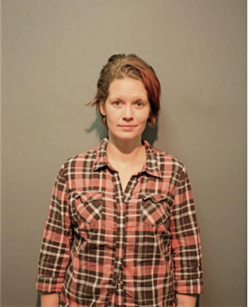 AMIE M HORN, Cook County, Illinois