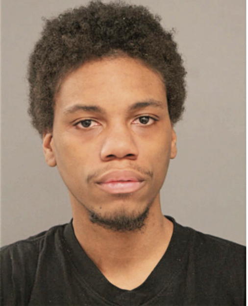 DEMETRIUS M JOHNSON, Cook County, Illinois