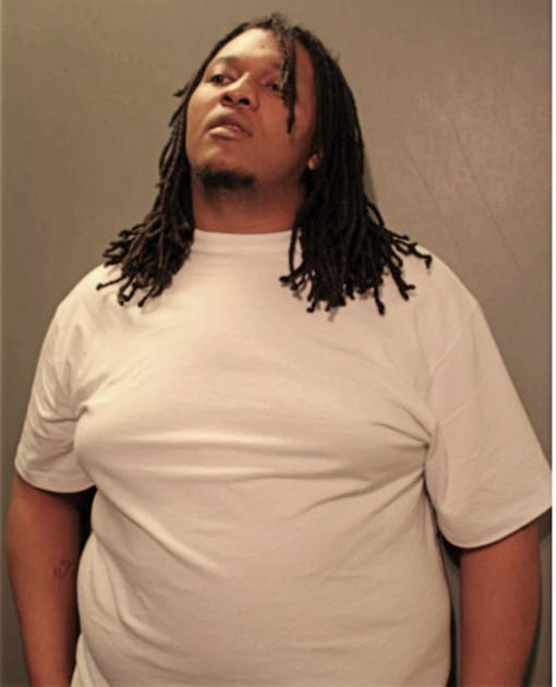 TERRY T JOHNSON, Cook County, Illinois