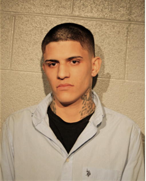 JUSTIN R LEWIS, Cook County, Illinois