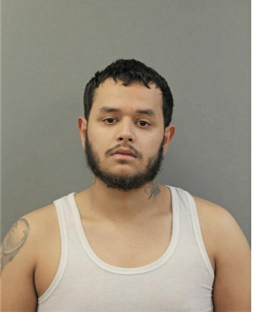 CHRISTIAN DAVID MALAVE, Cook County, Illinois