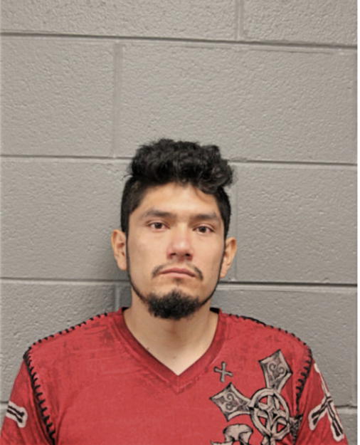 ISRAEL MARTINEZ-TREJO, Cook County, Illinois