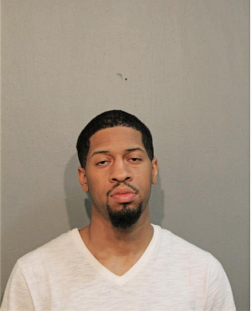 MICHAEL G MCKINNEY, Cook County, Illinois