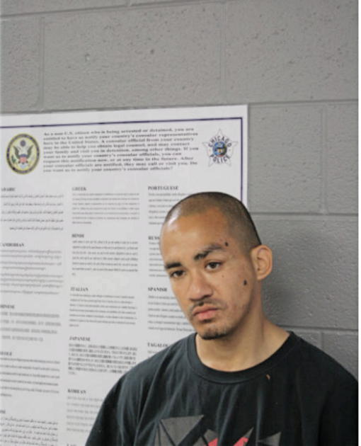 CESAR NAVARRETTE, Cook County, Illinois